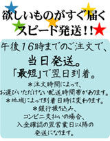 ��壱�����ޤǤΤ���ʸ�ǡ�����ȯ����